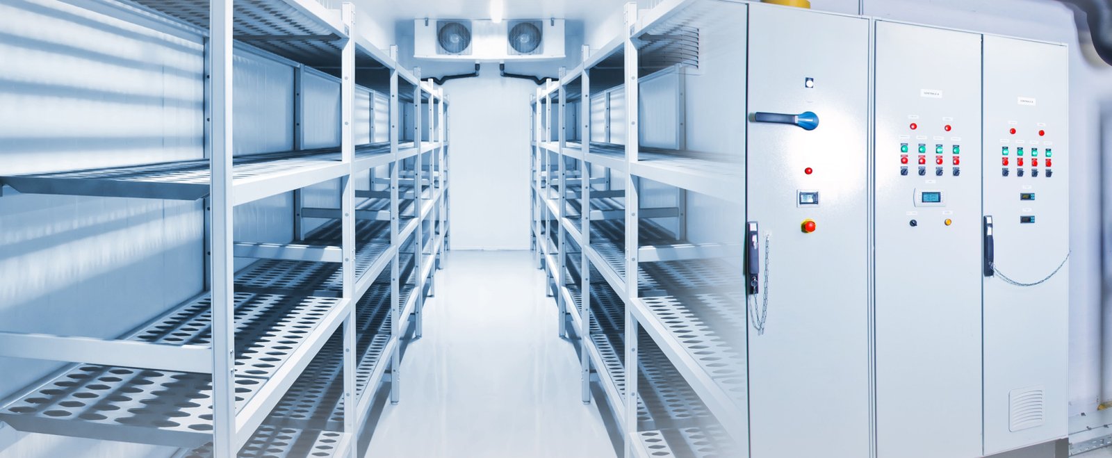 sofa-cleaning-service